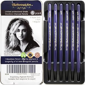 Woodless Pure Charcoal Pencils - Set Equivalent to 25+ Regular Pencils - Ultra Dark - Smooth Consistency on all Artist Drawing Papers
