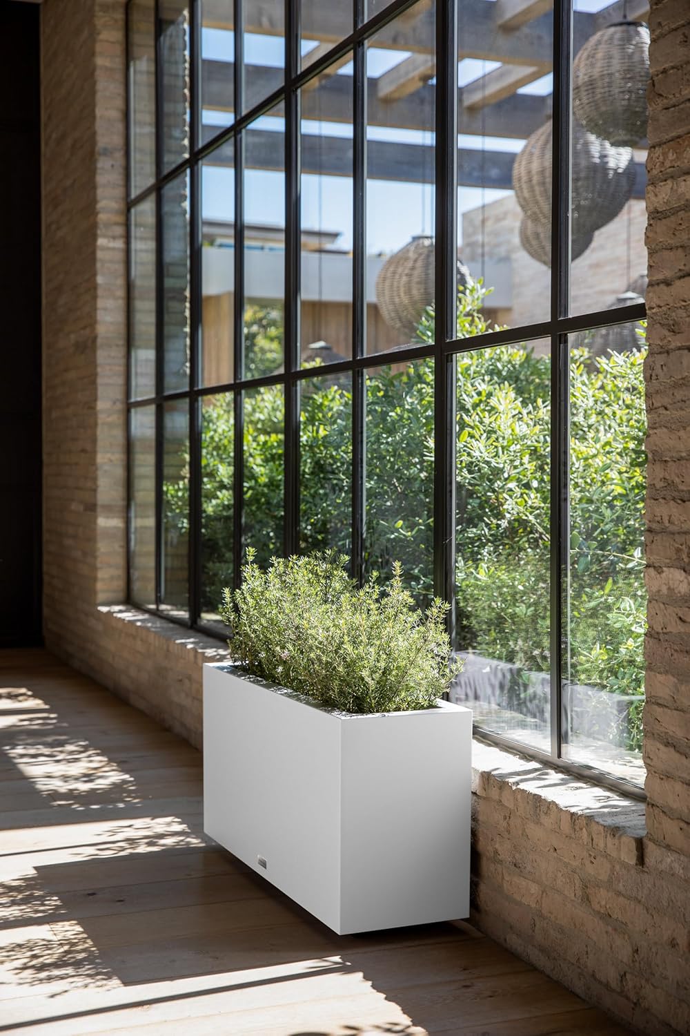 Veradek planter with green plants indoors near large windows