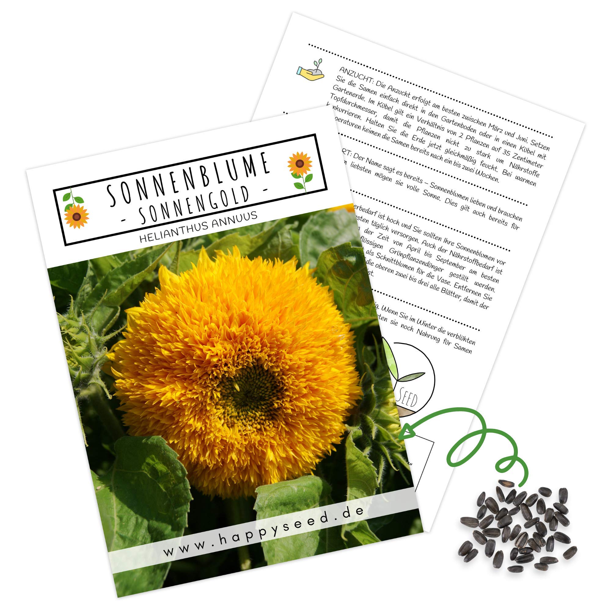 Farbenfrohe Sonnenblumen Samen mit hoher Keimrate - Blumensamen für einen bunten & bienenfreundlichen Garten (20 Korn Sonnengold)