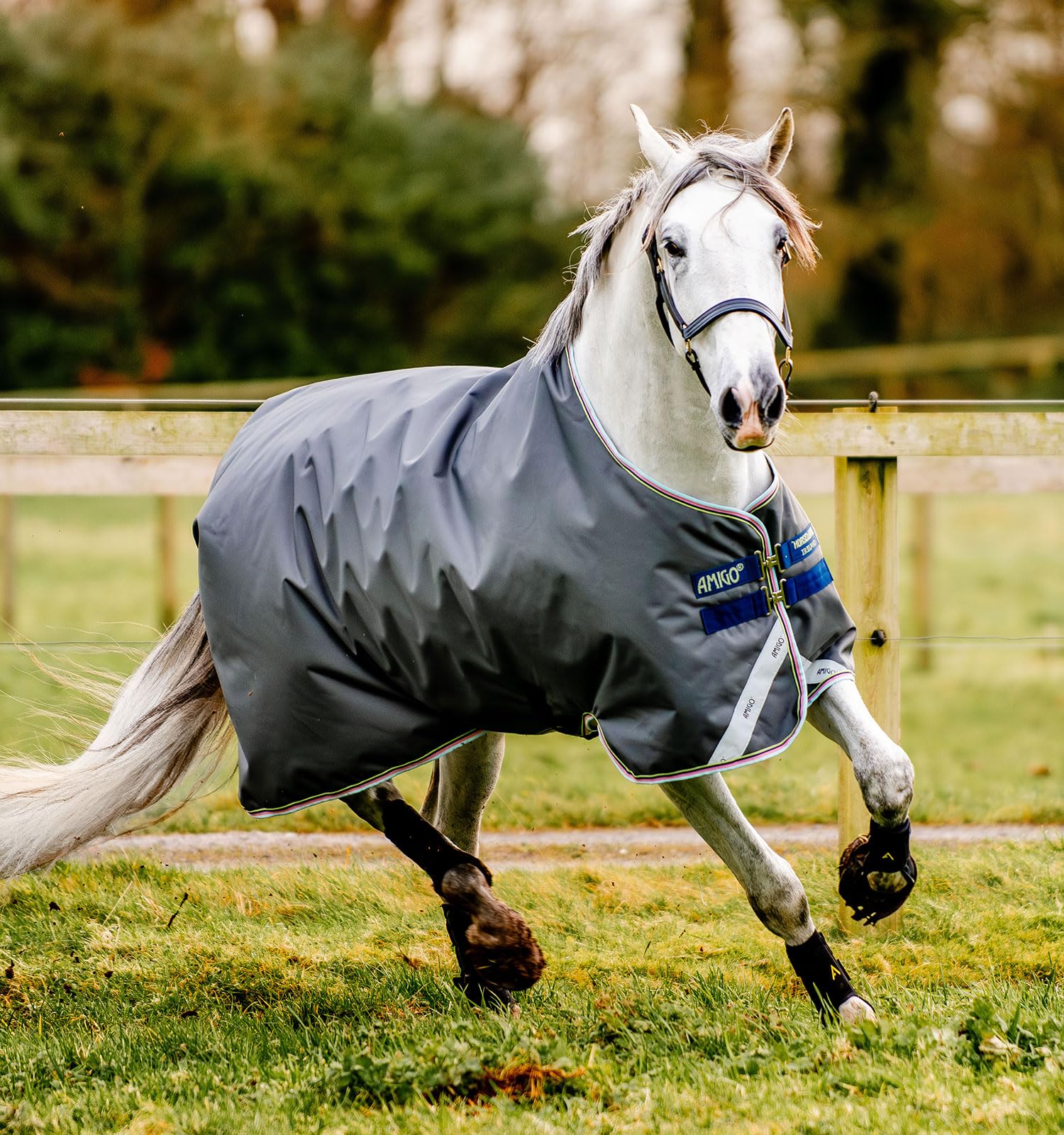 Horseware® Amigo® Bravo 12 Original Weidedecke (100g leicht)