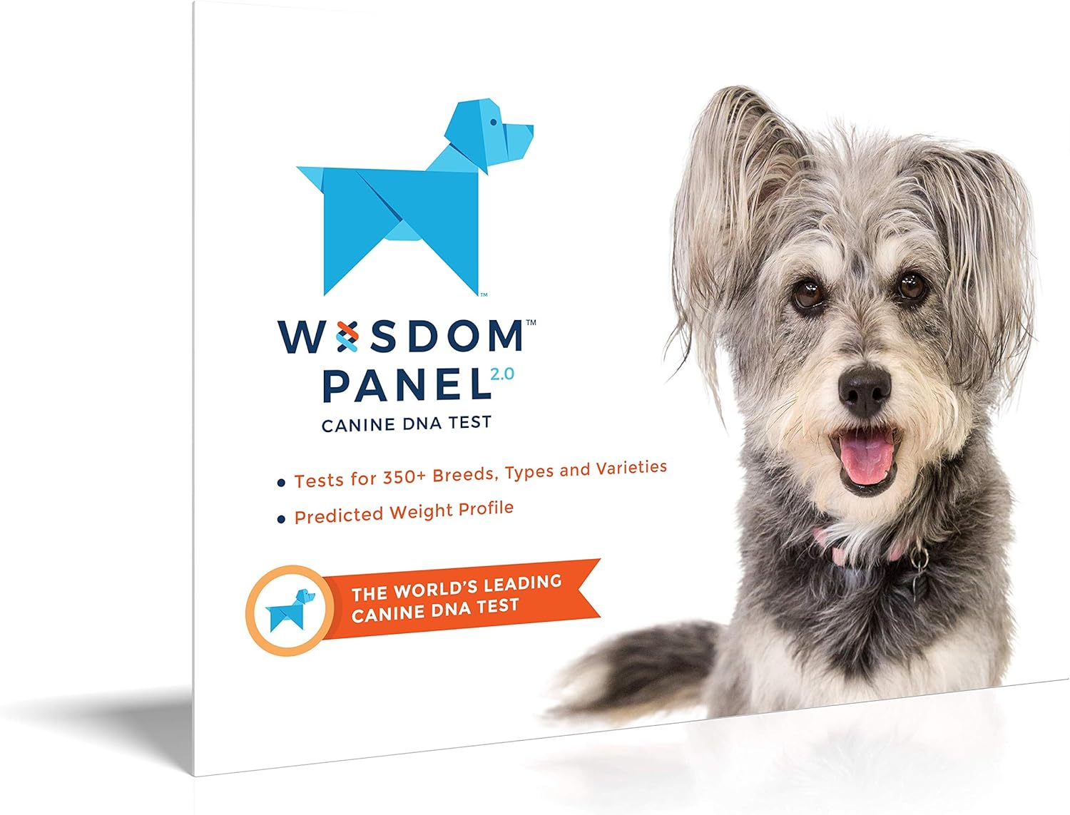 razze di test del DNA dei cani