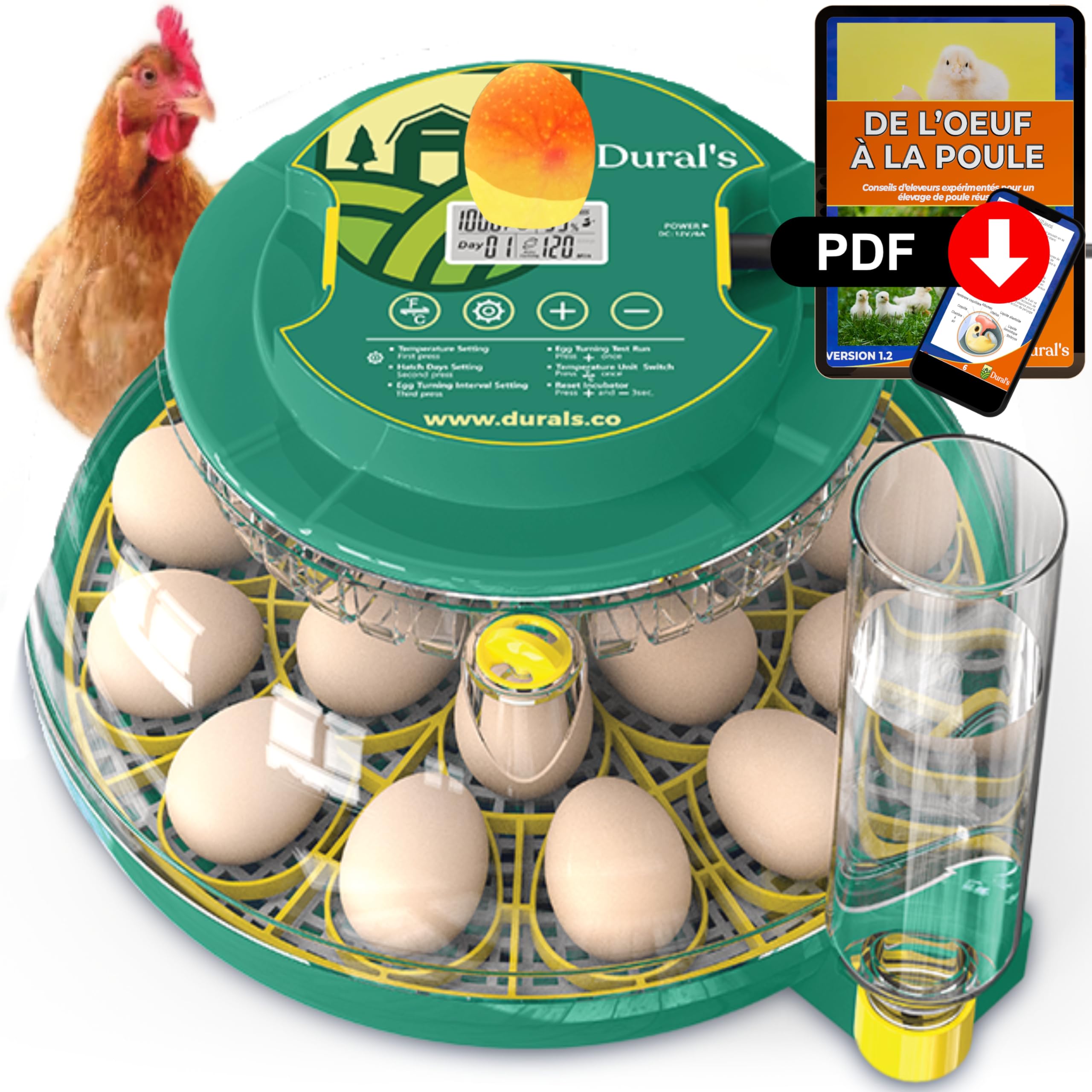 Dural's DX5® | Couveuse œuf automatique | Professionnel & Haute Précison | Certifiée CE | Contrôle de la Température & Humidité | Oeufs de Poule, Caille, Canard | Retournement Œuf automatique (DX5)
