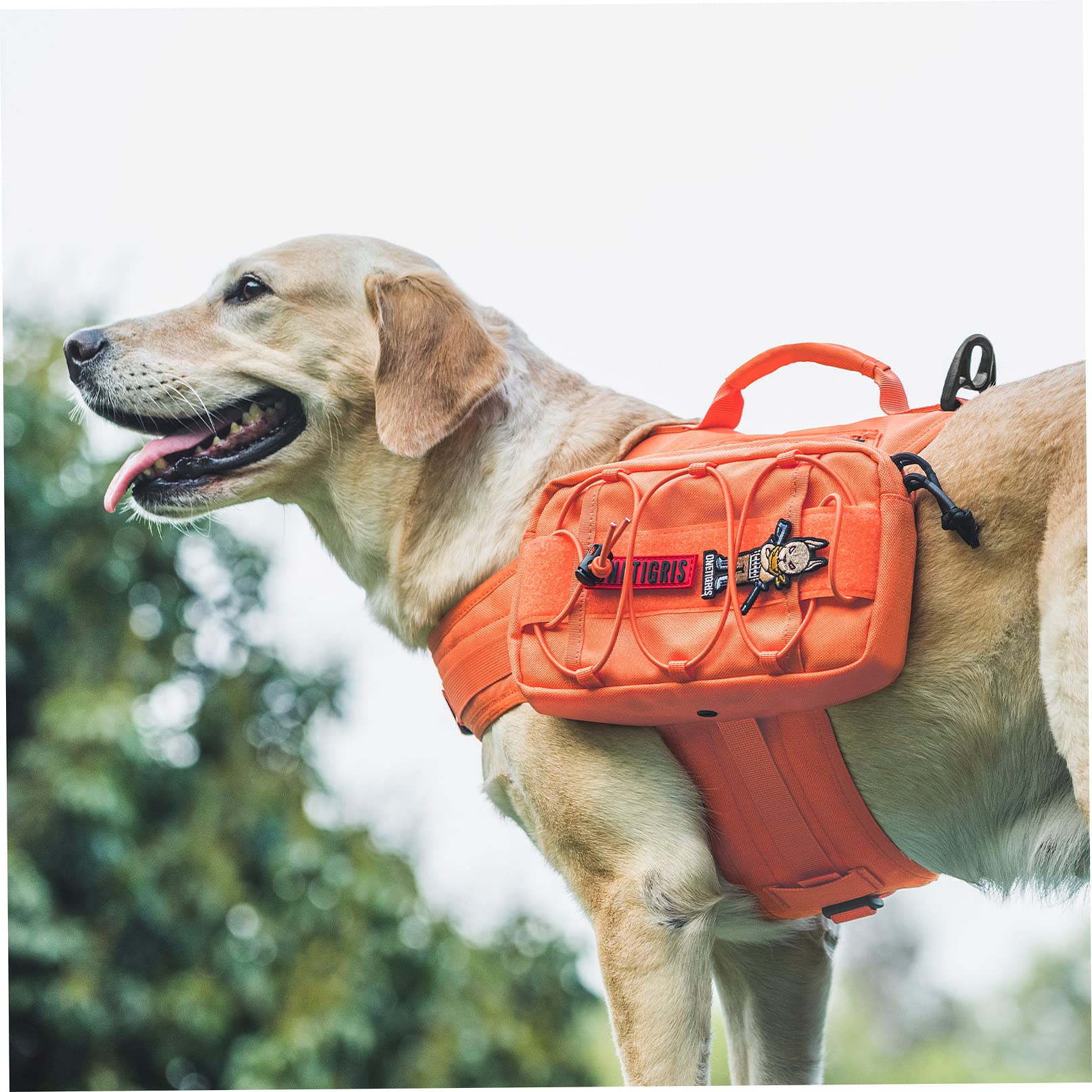 OneTigris Mammoth - Sac à dos pour chien, version 2.0, pour chiens de taille M/L (L, orange)