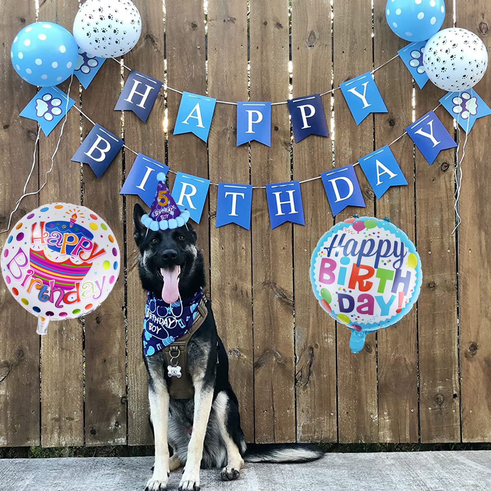 Striscione Per Festa Di Compleanno A Tema Cane | Grande Banner 180x110 Cm Con Scritta Happy Birthday E Zampe | Telo In Poliestere Per Decorazioni