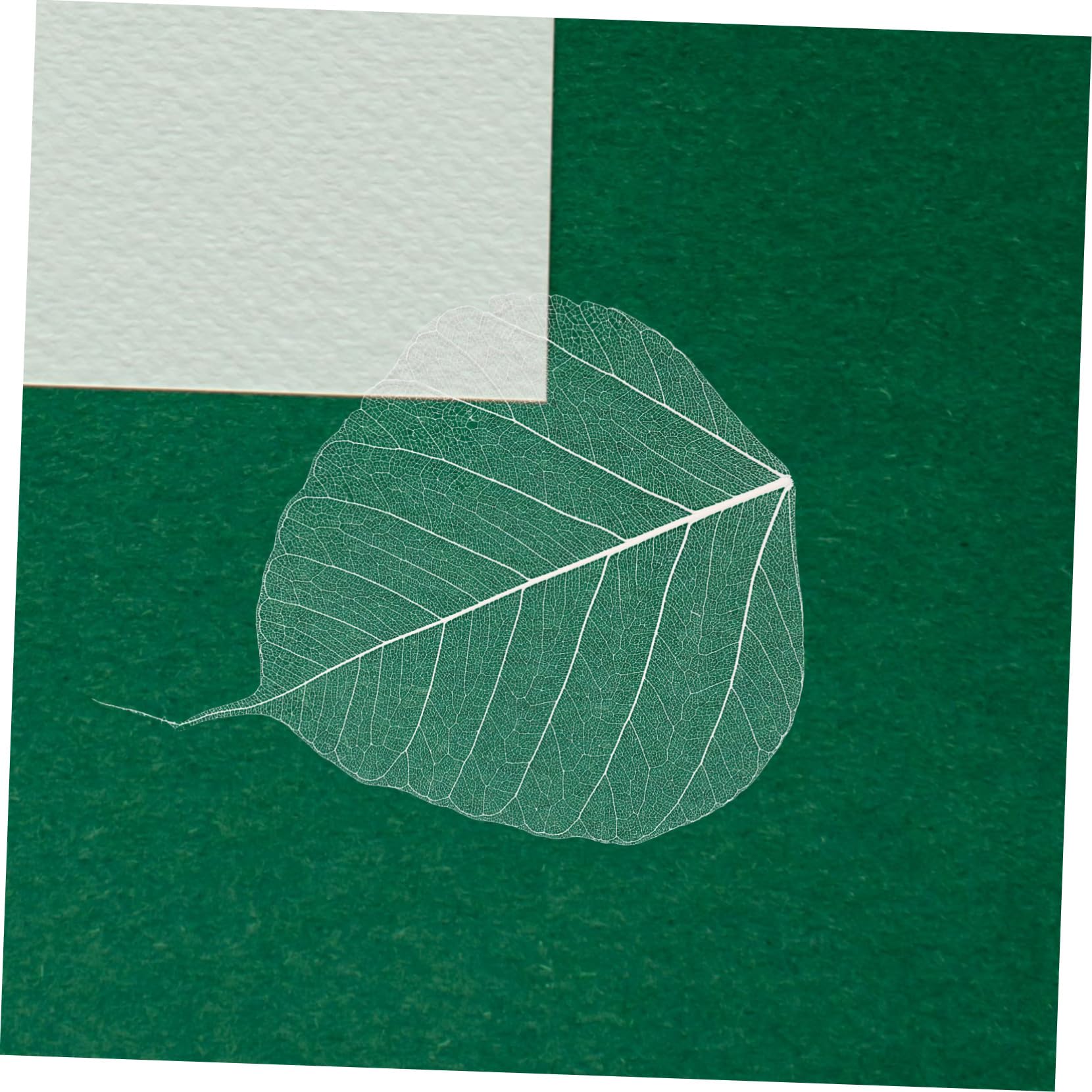 EXCEART 20piezas Muestra Caucho Natural Materiales De Bricolaje Accesorio Para Marcapáginas Diy