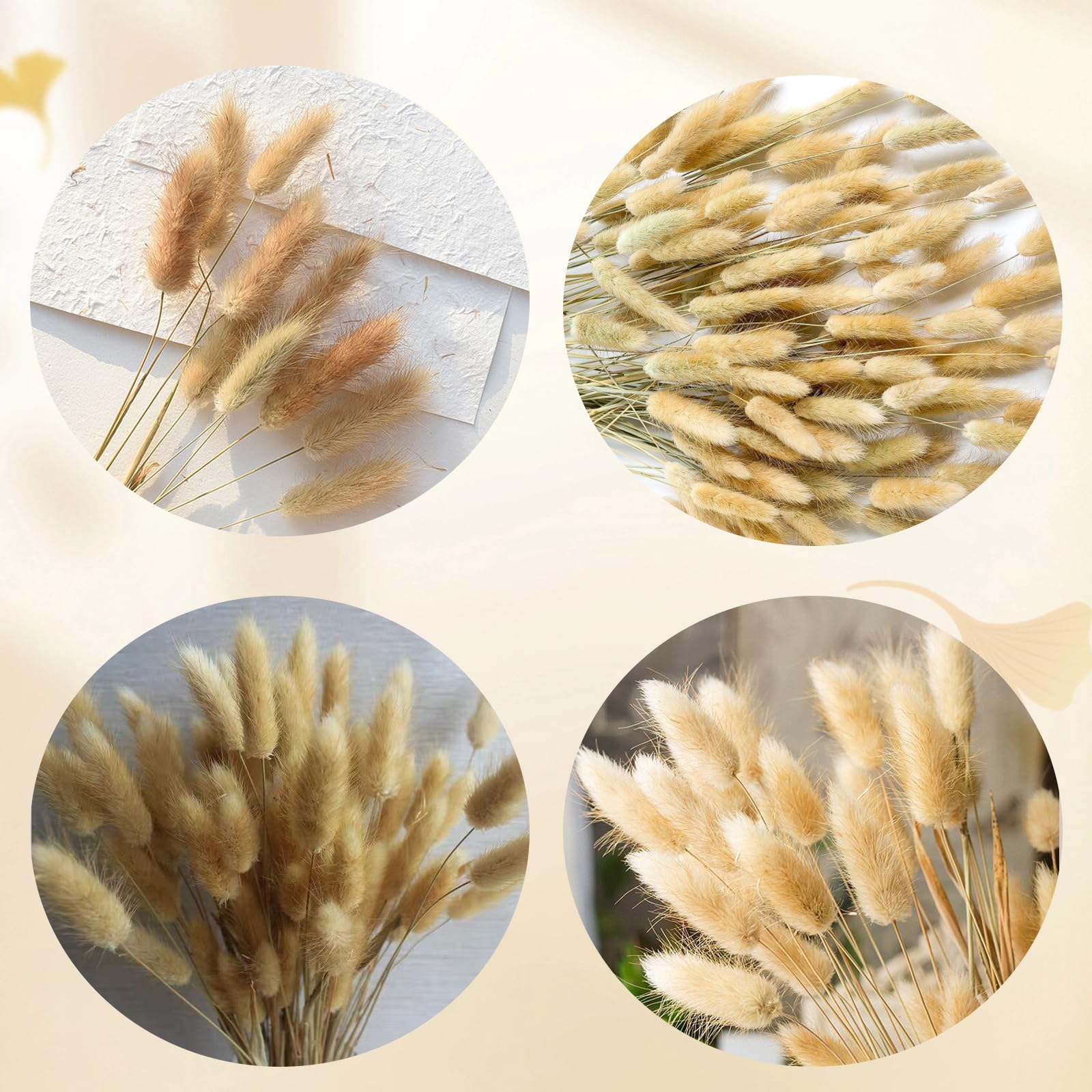 110 Morceaux De Pampa Avec Des Fleurs De Queue De Lapin Séchées