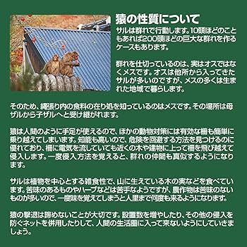 Amazon.co.jp: 撃退サル強力タイプ5個入 忌避剤を2倍に増量した激臭