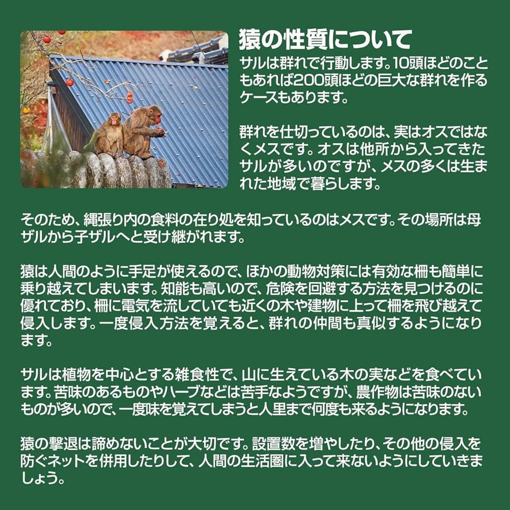 81kdQlH2Z6L._UF1000,1000_QL80_.jpg