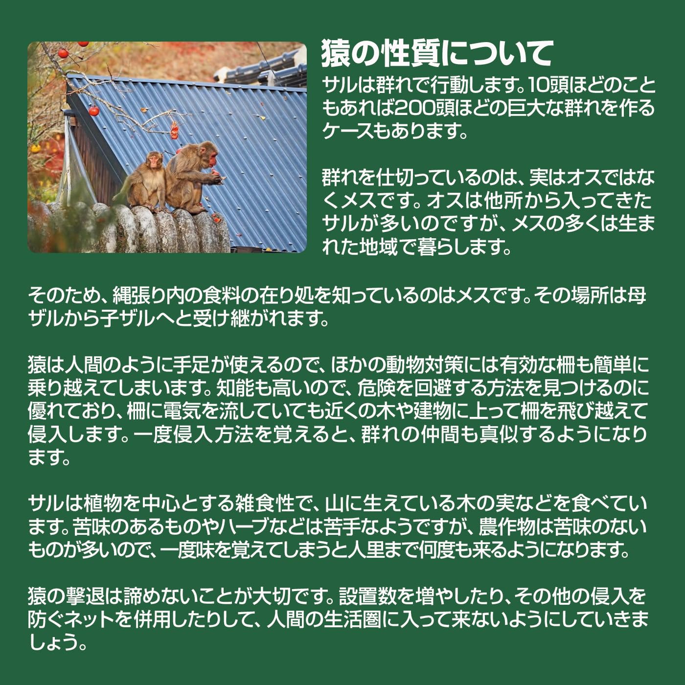 Amazon.co.jp: 撃退サル強力タイプ5個入 忌避剤を2倍に増量した激臭  