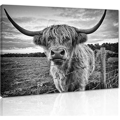 Yatsen Bridge Cute Long-Haired Highland Cattle Wall Art Black and White Cow Pictures Decor Artwork Modern Painting Canvas Prints Living Room Framed Ready to Hang - 24x36 Inches