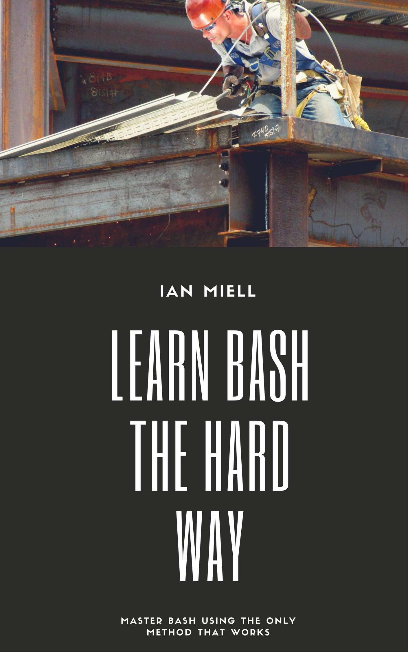 Learn Bash the Hard Way: Master Bash Using The Only Method That Works (Learn Software Engineering The Hard Way)