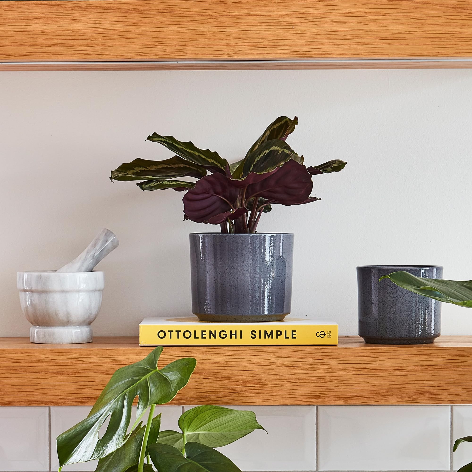 Ivyline Planter, Ceramic, Grey, 14 x 14cm