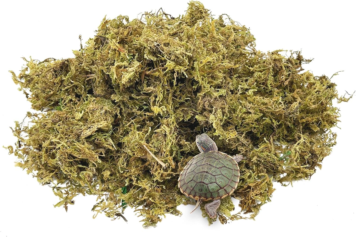 kathson Sphagnum Moss for Reptiles, 10.5 Oz Natural Dried