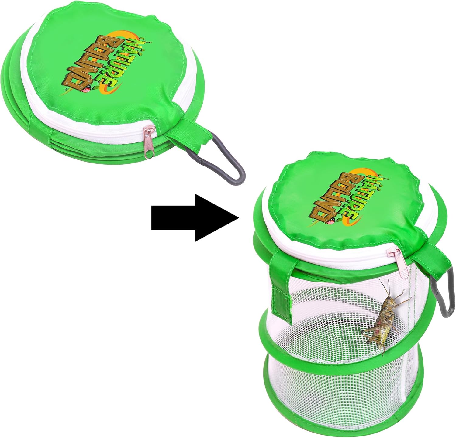 Nature Bound NB528 Pop Up Critter Catcher Habitat Kit with Carabiner Clip & Zipper Lid, One Size, Green