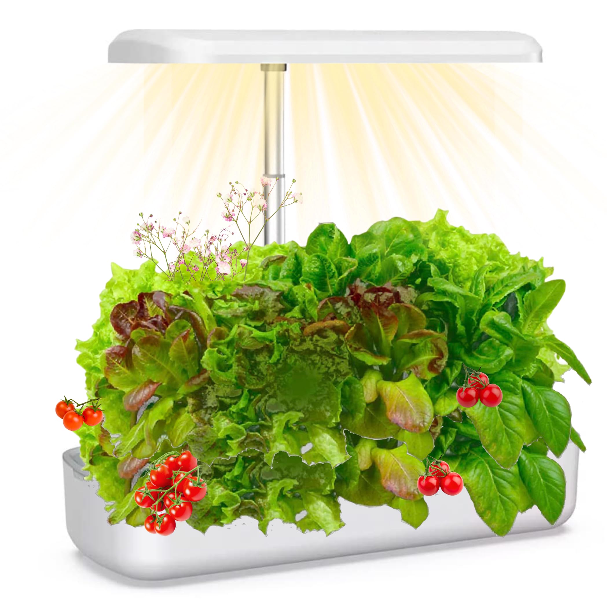 groTH Indoor Garden Hydroponics Growing System  