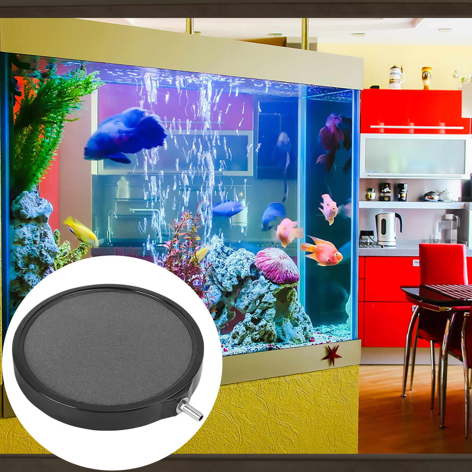 Nettoyée et Réutilisable en Sable et Gravier pour Aquarium Noir Pierre à pour Aquarium Augmente L' Couleur Aléatoire et Poisson