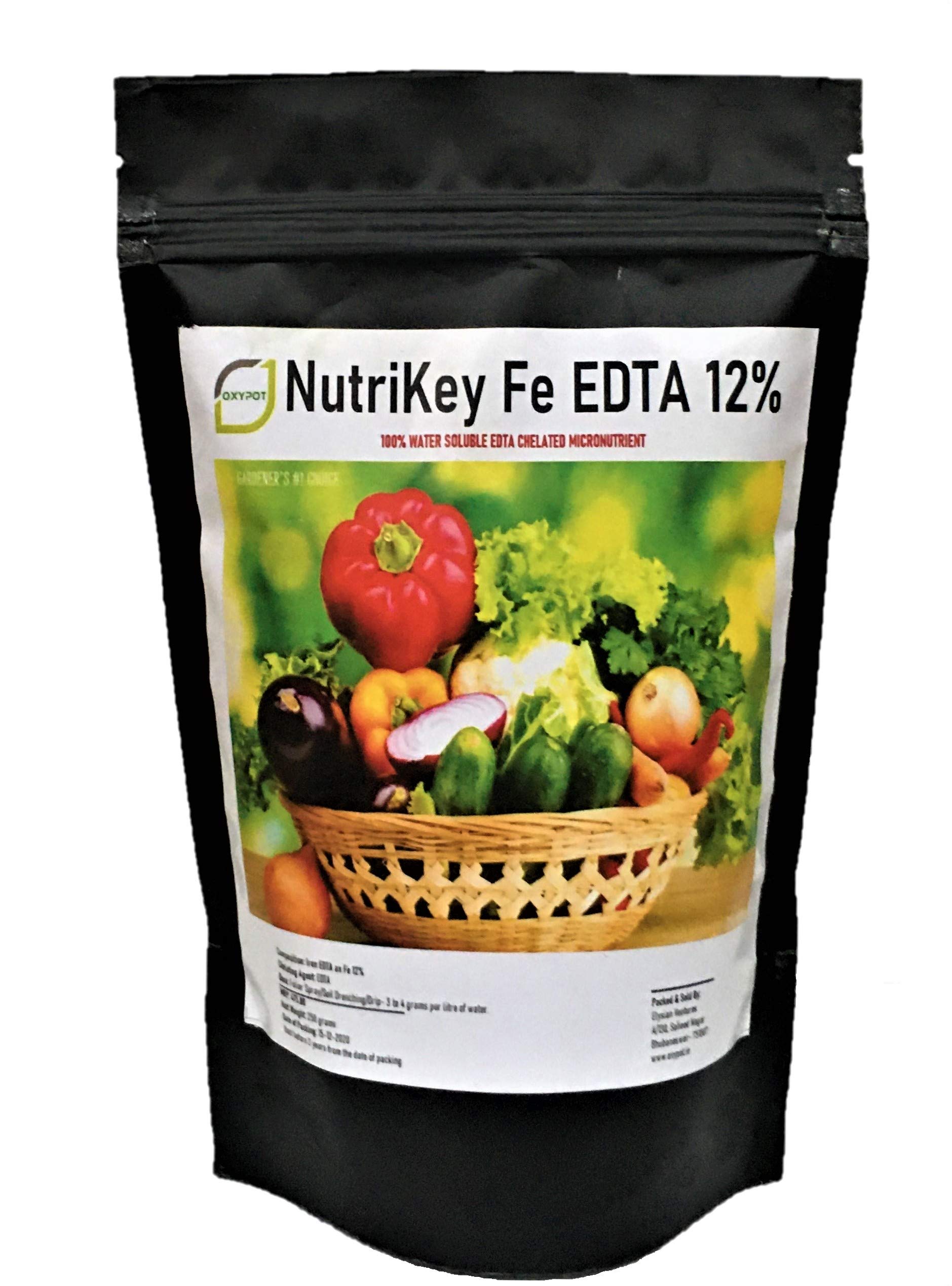 Oxypot® NutriKey Fe EDTA 12% Chelated Micronutrient for Vegetable, Fruit & Flower Plants || Ideal for Home Gardeners/Urban Gardeners || Pack Size-250 Grams