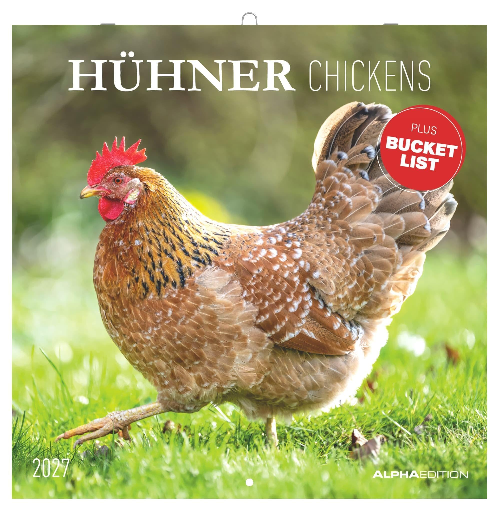 Hühner 2027: Wandkalender 30x30 cm (30x60 cm geöffnet) mit Notizkalendarium, 12 Hühner-Motiven und Bucket-List