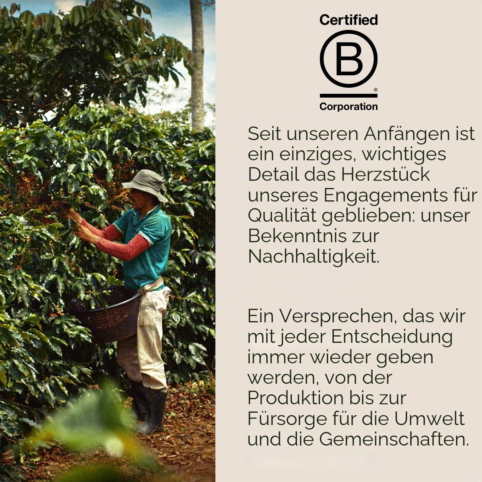 illy Intenso Instant-Kaffee, kräftiger Braten, intensiv, robust und voll aromatisiert mit Noten von tiefem Kakao, 100 % Arabica-Kaffee, ohne Konservierungsstoffe, 94 ml Dose (1 Stück)