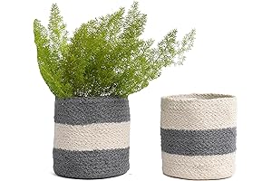Petite Jute Basket: A Stylish Haven for Your Plants and Essentials