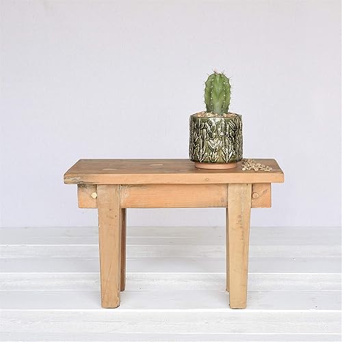 Miniatura 2 de HomArt 3744-3 - Maceta de cerámica con motivo de cactus, 5 pulgadas de altura, pequeña, verde, 5 x 5 x 5 x 5 x