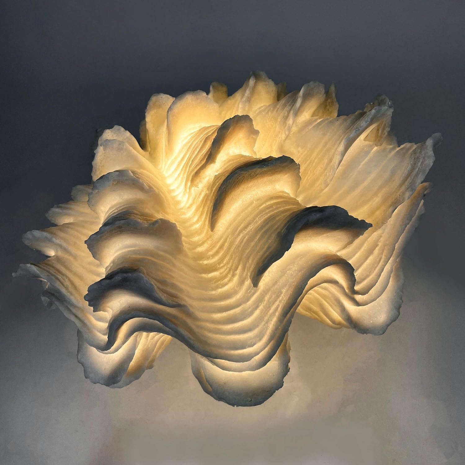 Squamosa Clam Accent Lamp, Resin Shell Table Light, 13" x 12" x 6.75", White Coastal Eclectic Decor, 6ft Cord, Inline Switch, E26 25W Max, Indoor Nautical Lighting for Living Room Bedroom Office