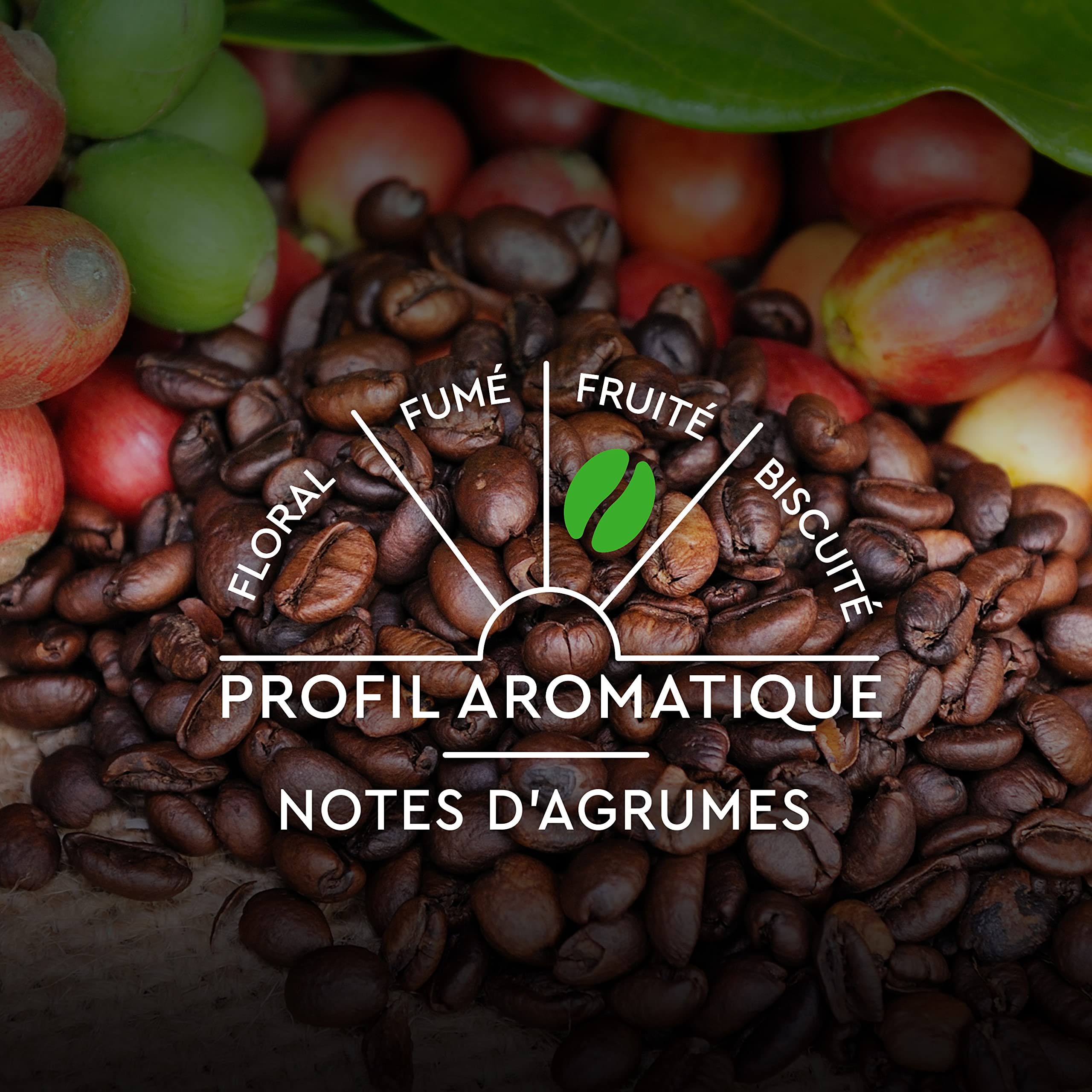CARTE NOIRE - Capsules de Café Bio Compatibles Nespresso - Café Arabica - Lot de 30 x 8 Capsules Aluminium - Fabriqué en France (240 capsules)