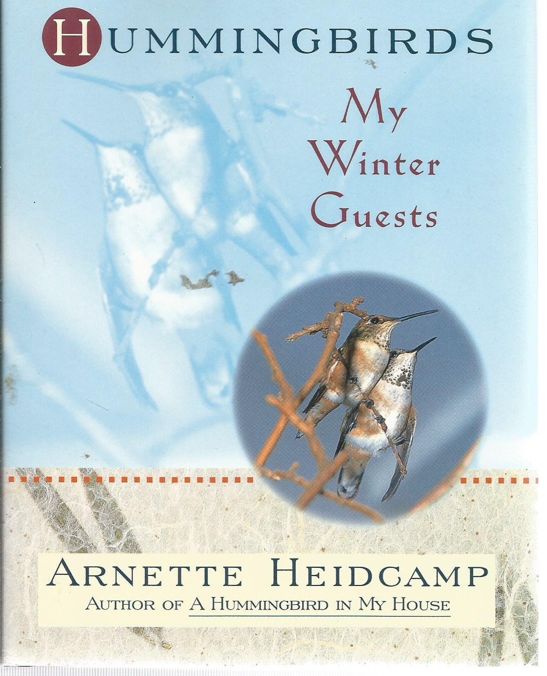 Hummingbirds: My Winter Guests