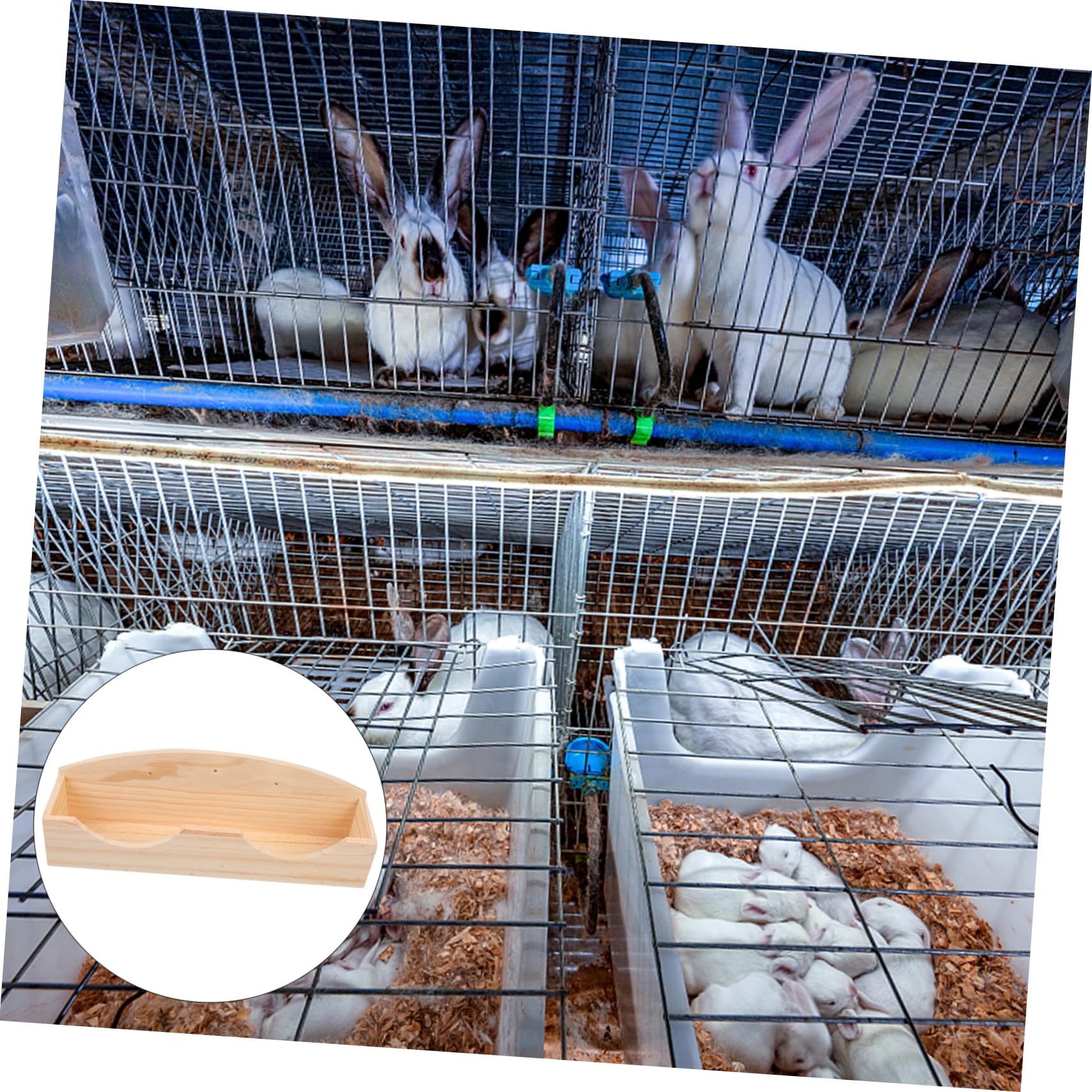 Supvox Kleine Holz Futterkrippe Aus Holz Grasfutterspender Für Kaninchen Und Kleintiere Abnehmbar Sauberer Käfighalter Für Meerschweinchen Und Chinchillas