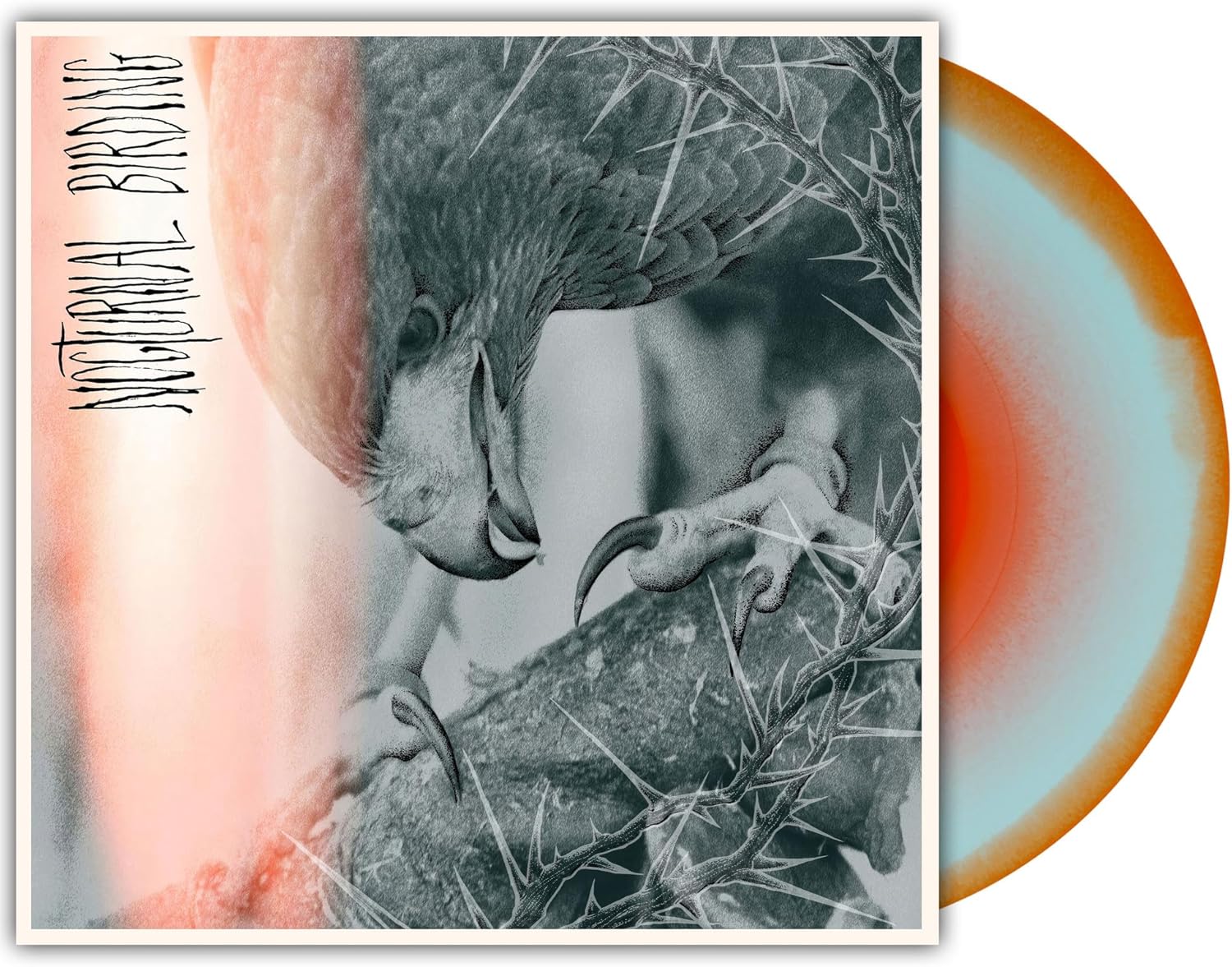 Album art