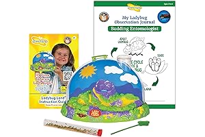 Insect Lore Ladybug Growing Kit Toy Watch Real Live Ladybugs Transform Before Your Eyes