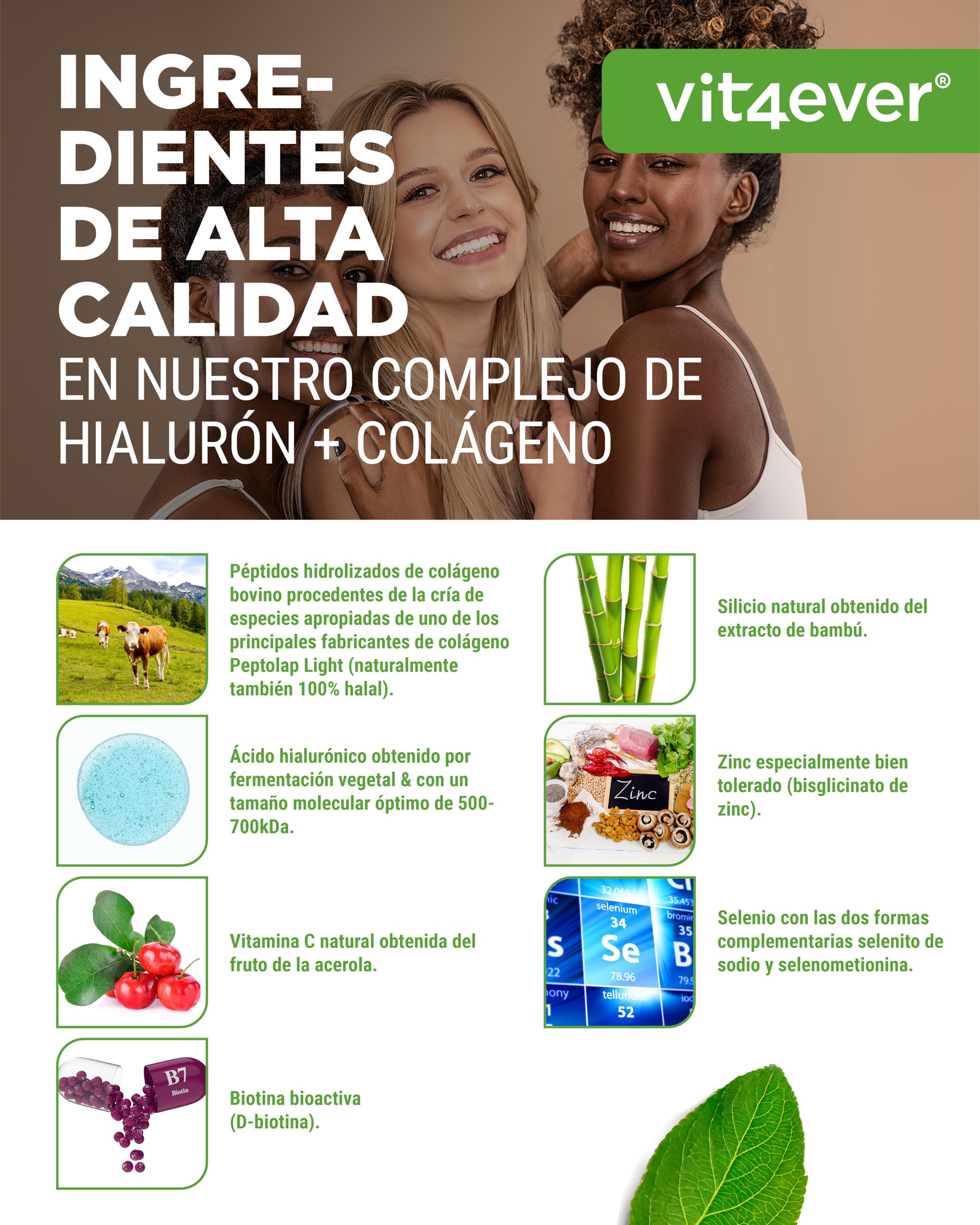vit4ever Complejo de Ácido Hialurónico y Colágeno - 240 cápsulas - Premium: Con Biotina Bioactiva, Selenio, Zinc, Vitamina C natural de la Acerola y Silicio de Bambú