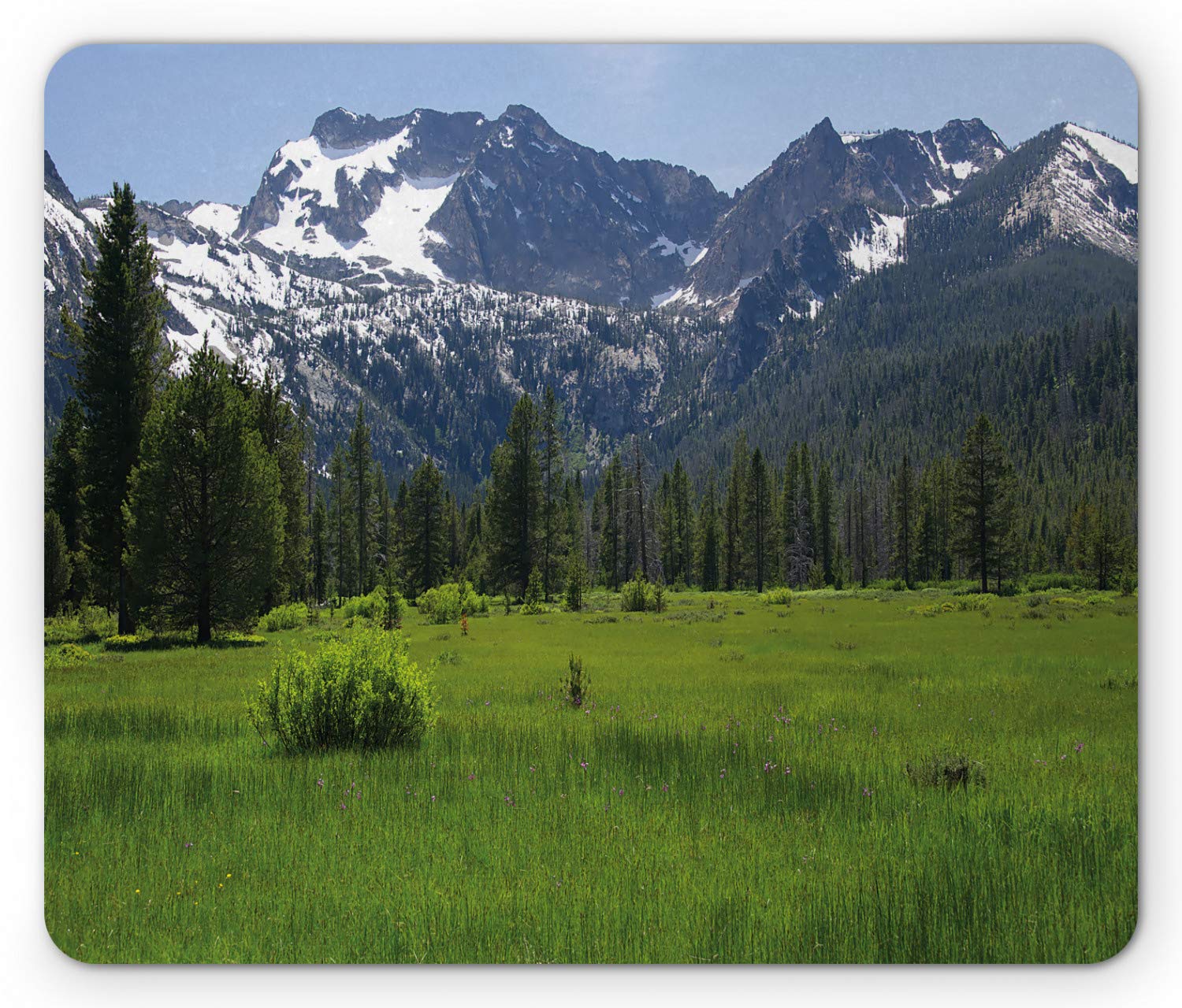 Ambesonne Idaho Mouse Pad, Sawtooth Mountains and Wild Flowers on Foothill Near Stanley, Rectangle Non-Slip Rubber Mousepad, Standard Size, Ceil Blue Olive Green