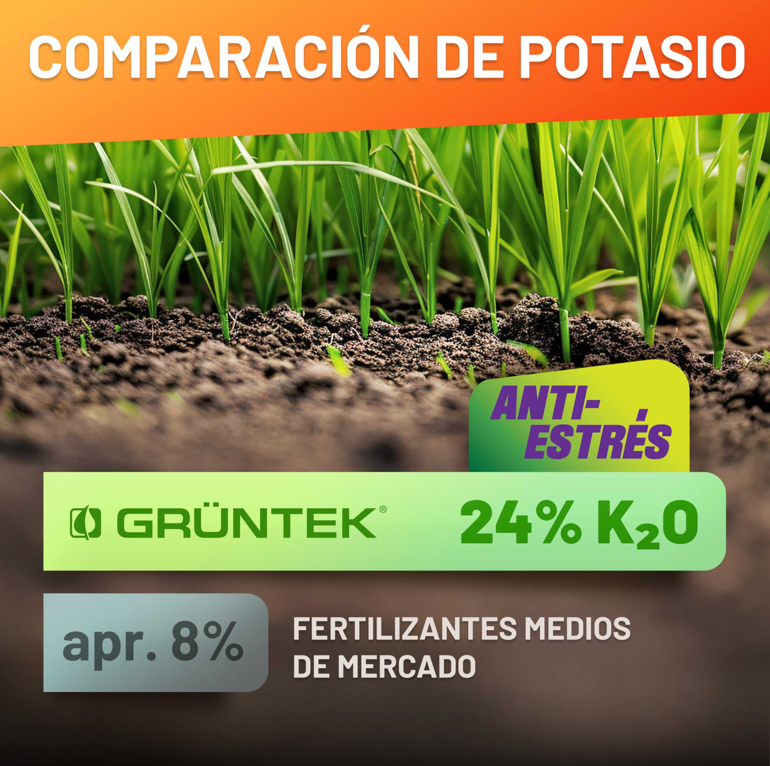 GRÜNTEK Abono Césped Otoño Invierno Verano Anti-Estrés NPK 15-5-24 – Fertilizante Césped Larga Duración 3 Meses, Protección Calor Sequía Heladas – Abono Universal Jardín Tomates Fresas Rosales 5 kg