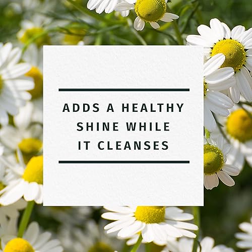 Miniatura 3 de Herbal Essences Shine Collection Champú 292 onzas líquidas 292 onzas líquidas