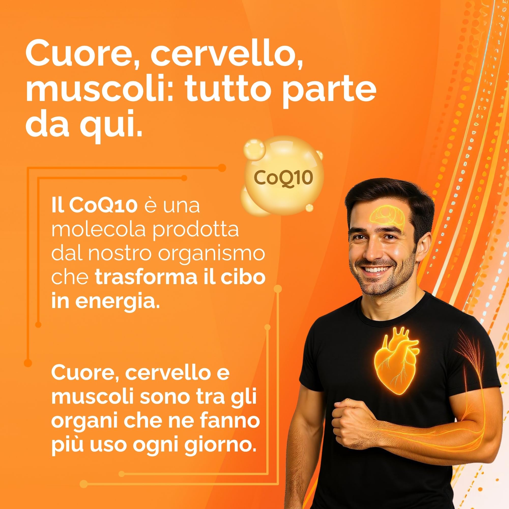 Coenzima Q10 Ubiquinone 200mg 150 Capsule Vegane - Integratore CoQ10 Altamente Biodisponibile - Antiossidante, Antiage, Energia, Sistema Immunitario
