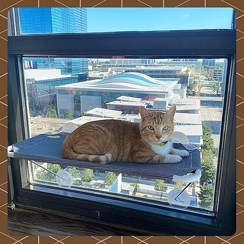 Miniatura 4 de Percha de seguridad para ventana de gato, con soporte inferior de 360 °, para cualquier gato