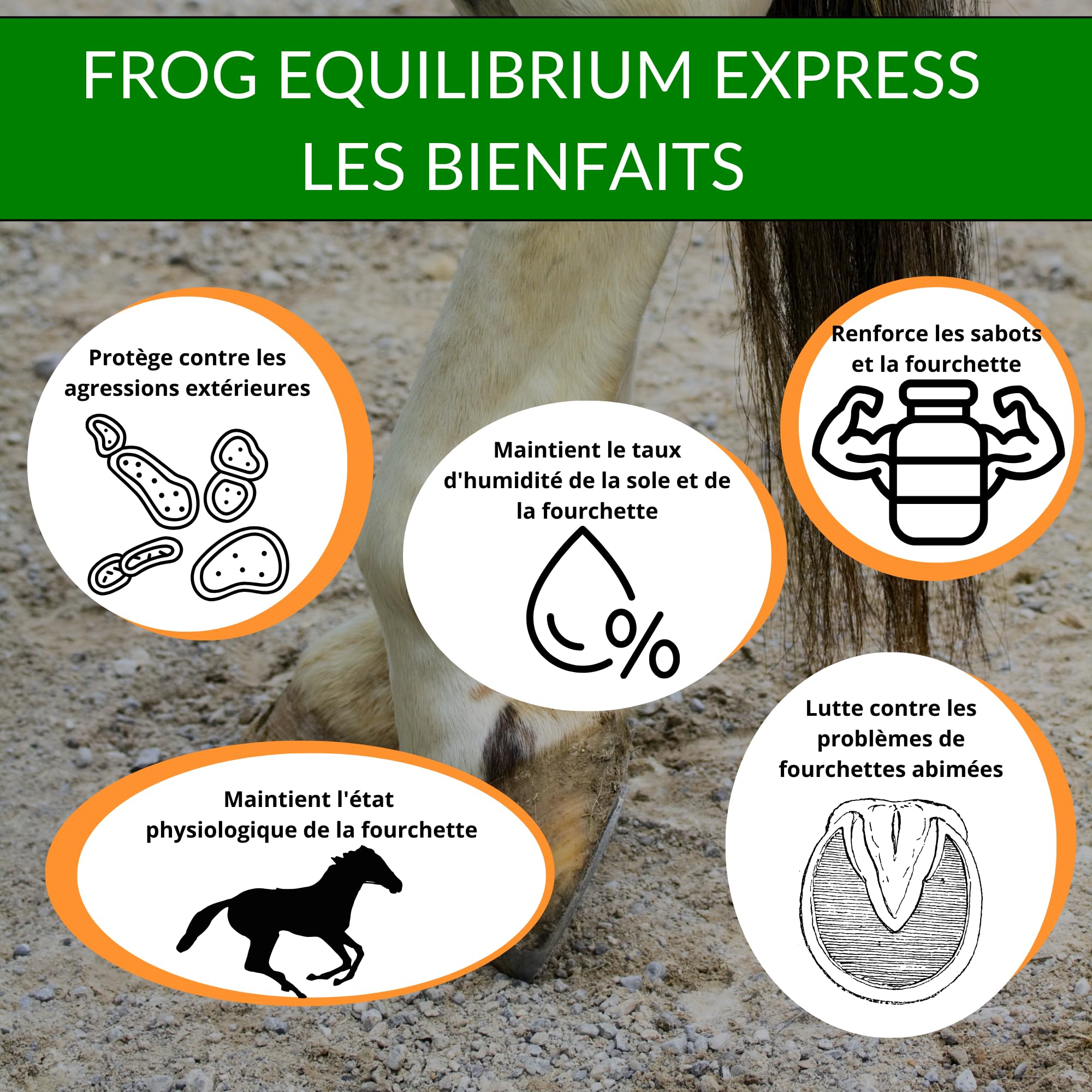 Frog Equilibrium Express - Soin Naturel réparateur et Protecteur des fourchettes pour Cheval - Retour Rapide à l'état physiologique (125 ML)