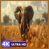 広大なサバンナの雰囲気を味わえるサバンナエレファントビュー