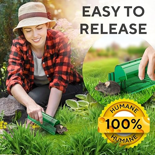 Miniatura 5 de Paquete de 4 trampas para ratones humanitarias de captura y liberación, perfectas para casa, interior y exterior, trampas duraderas fáciles de