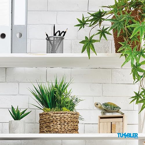 Miniatura 6 de Figura de tortuga marina  Decoración de baño de tortugas marinas y decoración de habitación de playa  Día de la Madre, cumpleaños para mujeres