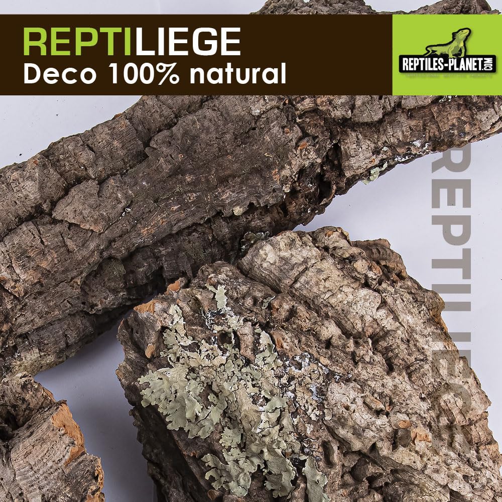 Reptiles Planet – Repticorcho – Surtido de Corcho para decoración de terrario – 10 litros