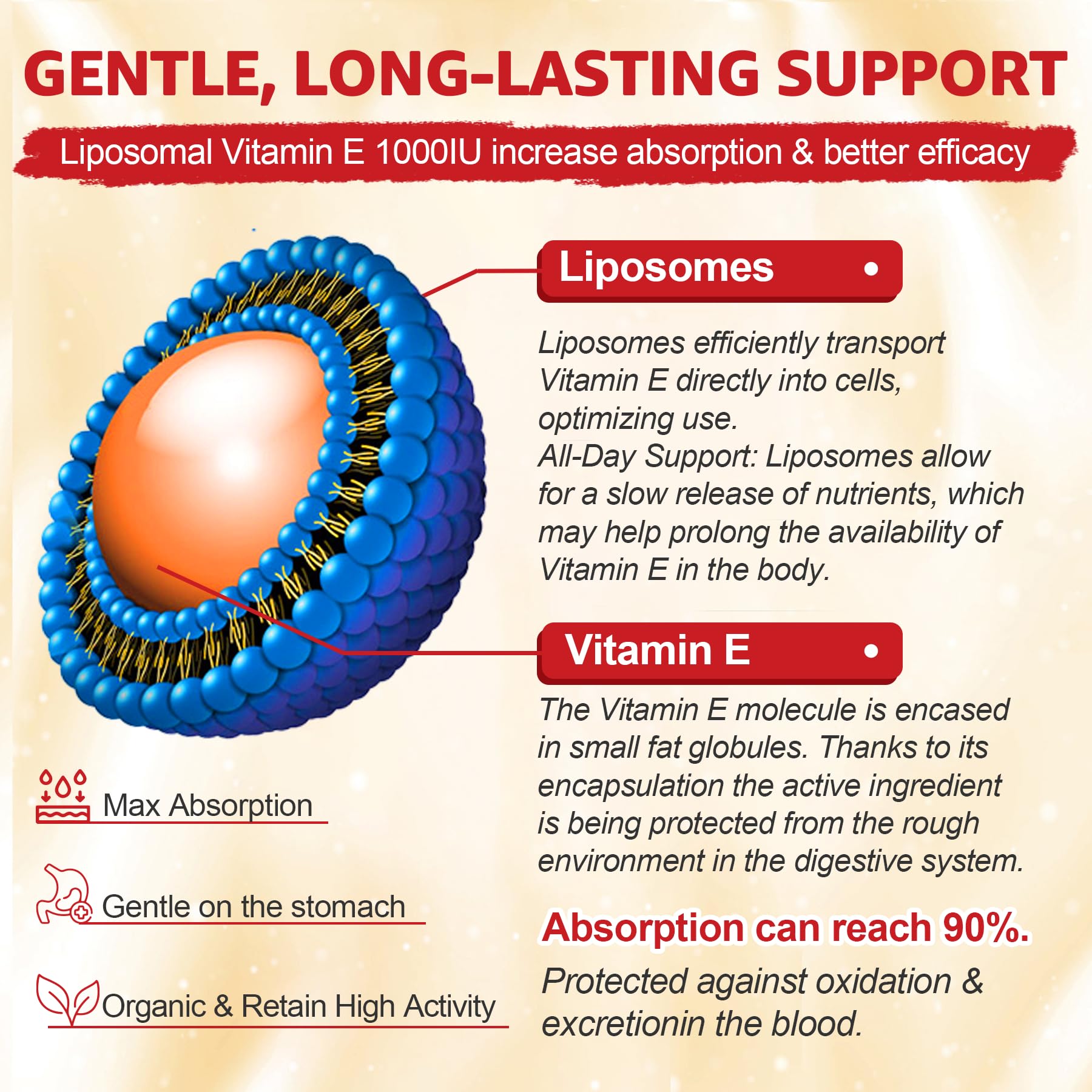 Liposomal Vitamin E Gummies 1000IU, Natural Form of Vit E Mixed Tocopherol — Amazon image 7