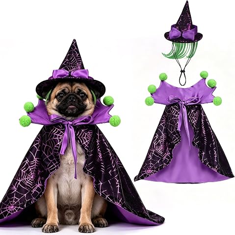 EXPAWLORER Halloween Witch Costume for Cats & Small/Medium Dogs