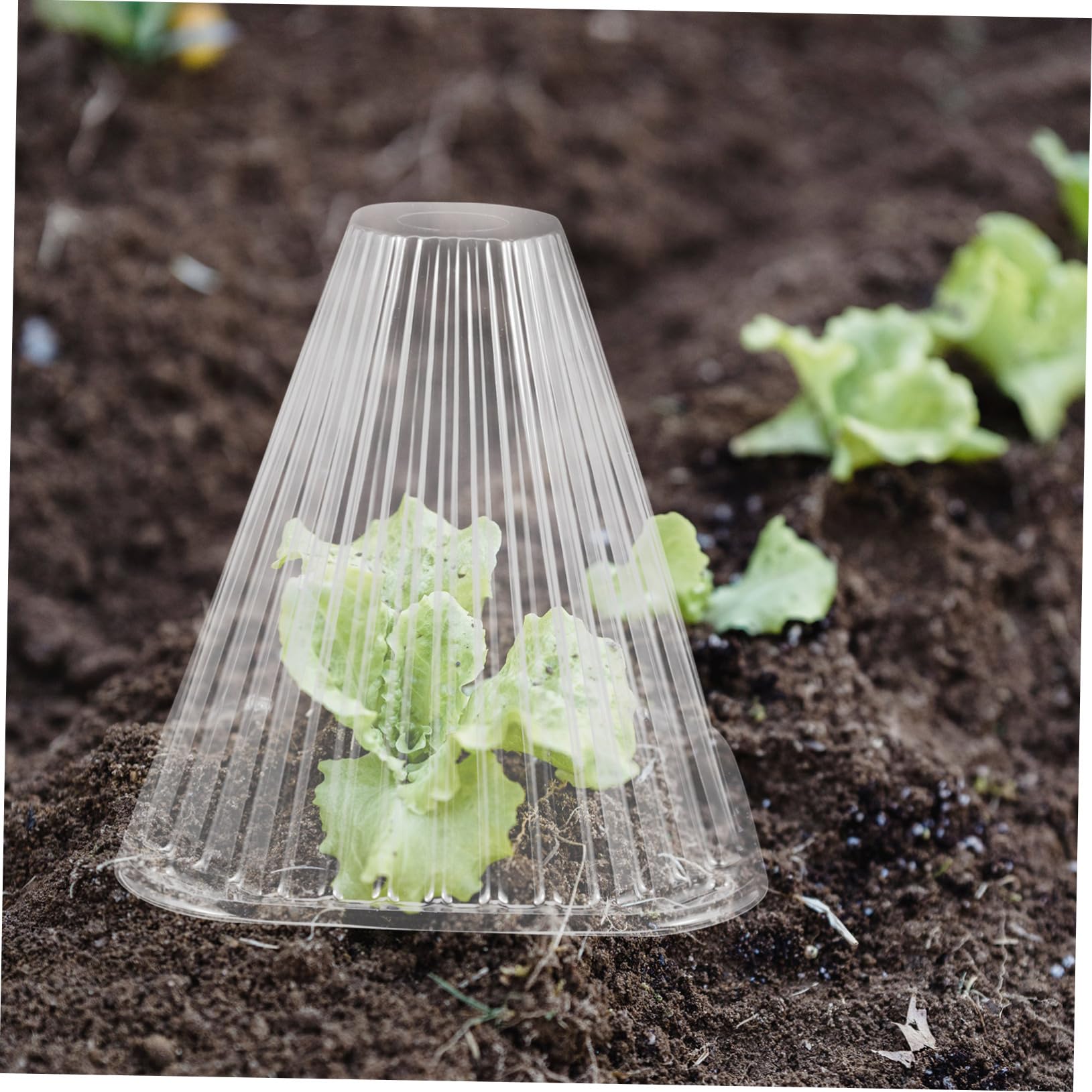 BESTonZON Cloche Conique pour Plantes, Lot de 10, Pet, Protection