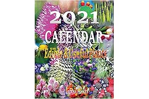 Calendar 2021: Edible & Useful Plants