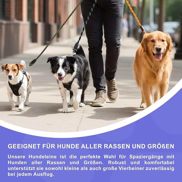 Foto 5 de 7 de Reichstadt Pets Correa Perros Nylon EVA 25RSP084 Black 1,5m