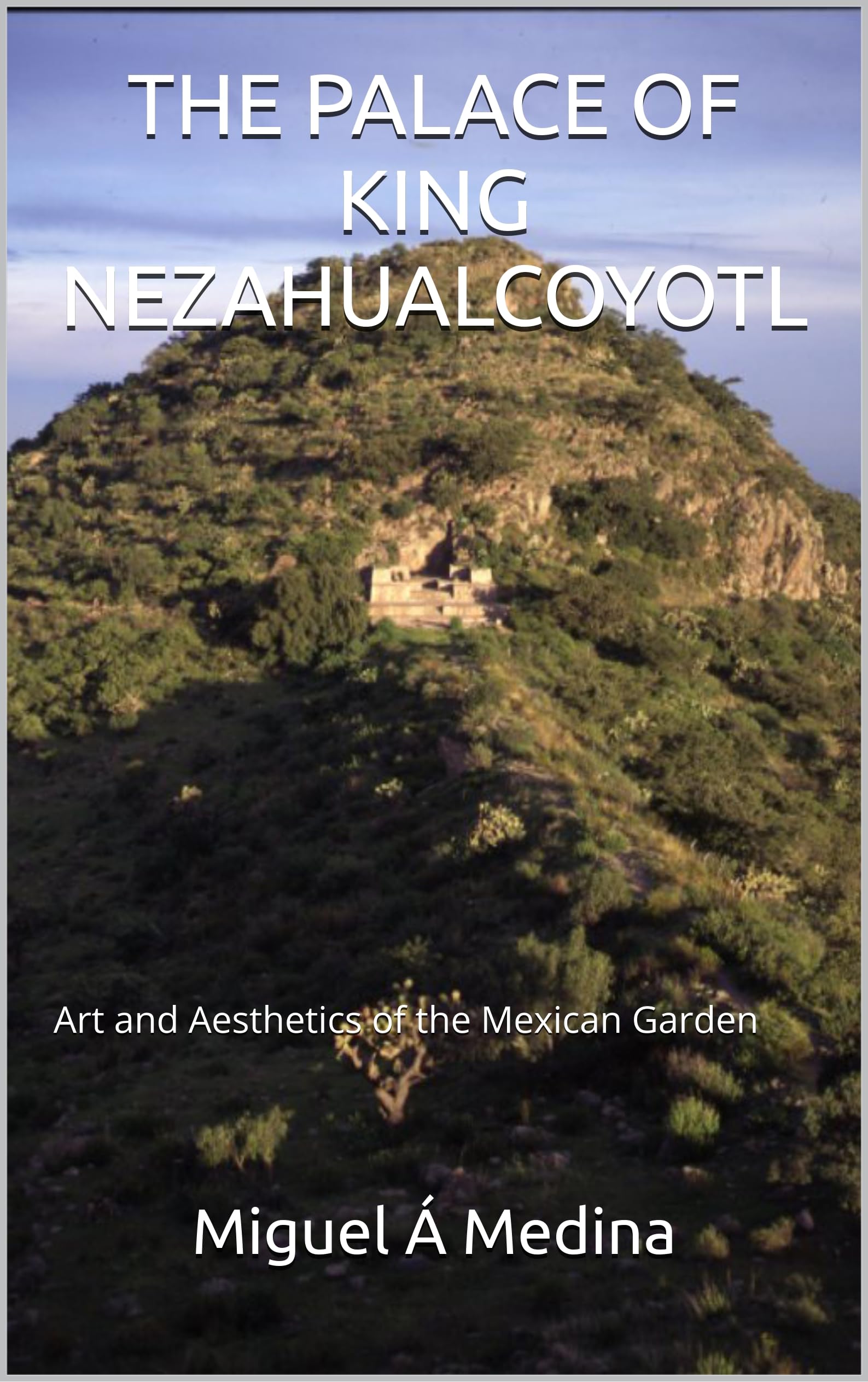 The Palace of King Nezahualcoyotl pour s'inspirer du jardin mexicain au salon