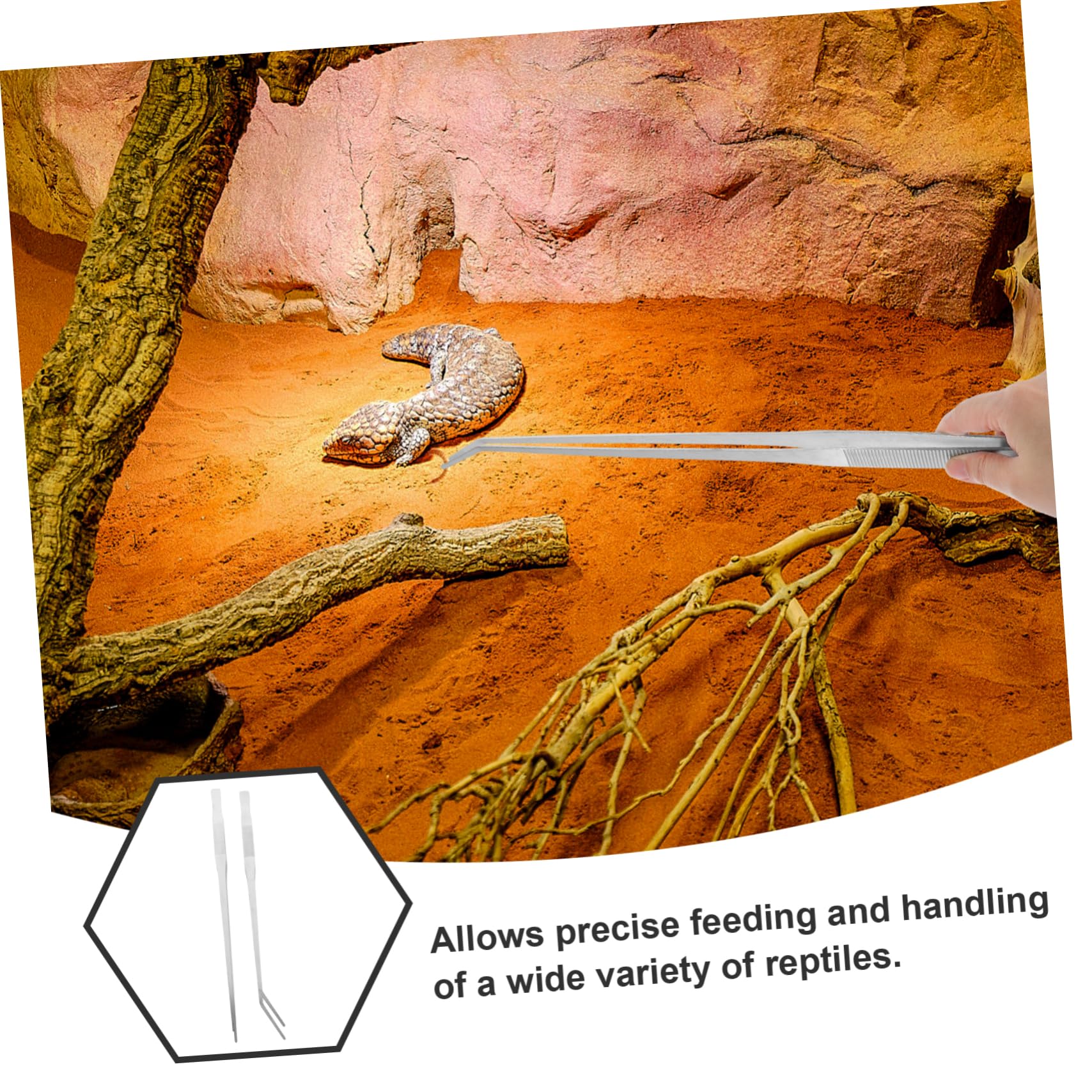 2piezas Pinzas De Alimentación Para Reptiles Extralargas Mango Unidades Herramientas Para Terrarios y Acuarios