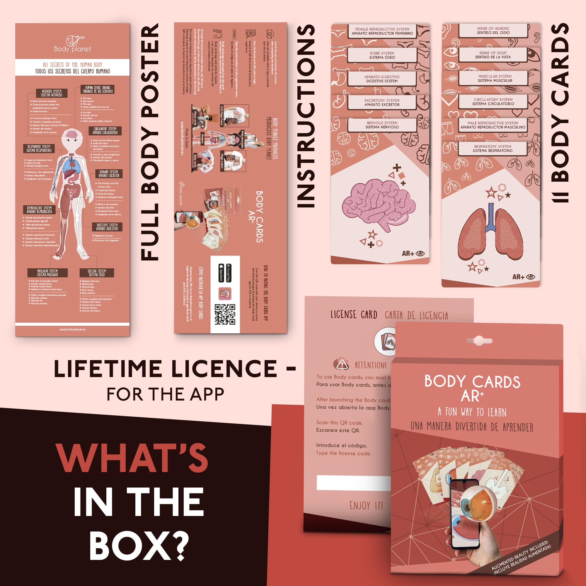 Body cards, carte con realtà aumentata per conoscere il corpo umano giocando